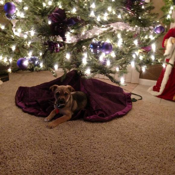 Meet your Posher, Lisa - Picture 1 of 1